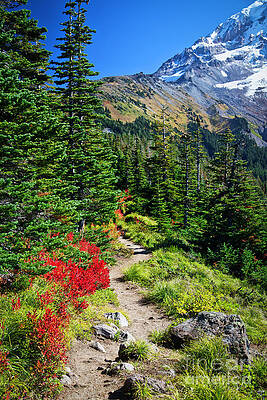 Oregon Photograph - Autum Hiking Near Mt. Hood by Bruce Block