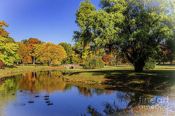 Fall Photograph - Autumn By The Pond by William Norton