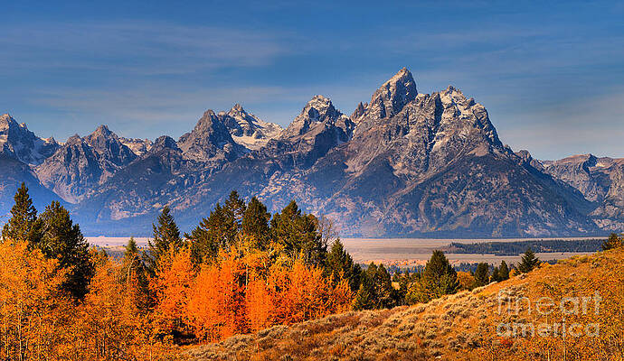 Wilderness Wall Art featuring the photograph Autumn Gold In The Tetons by Adam Jewell