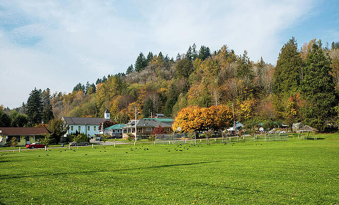 Fall Wall Art featuring the photograph Autumn In Concrete At Noon by Tom Cochran