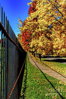 Fall Photograph - Autumn In The City by William Norton