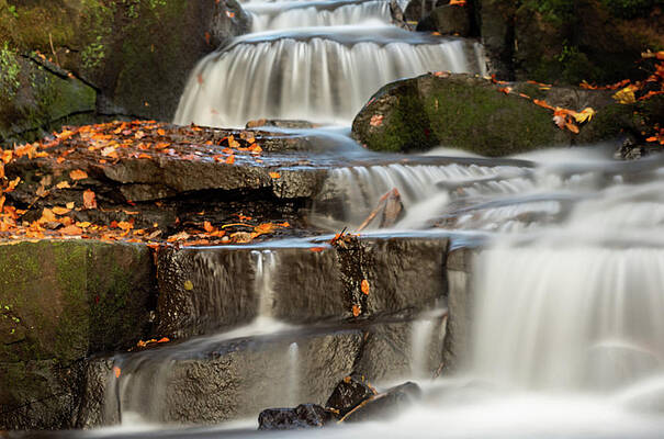 Wild Photograph - Autumn Waterfall by Scott Lyons