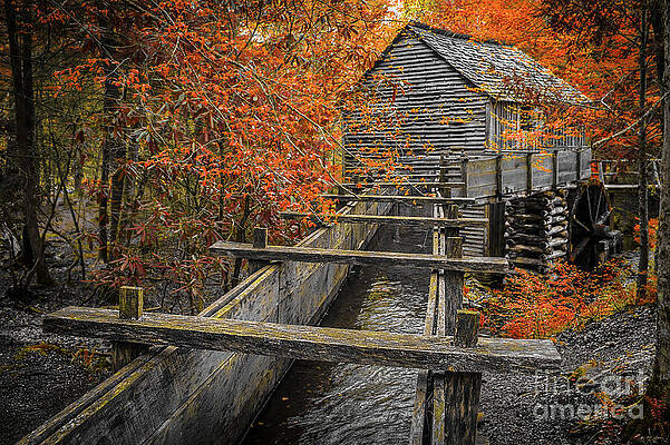Wall Art featuring the photograph Autumnal Colors On The Smoky Mountain by Stefano Senise