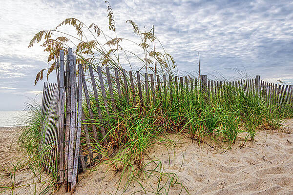 Wave Wall Art featuring the photograph Avalon Sea Grass by Donna Twiford