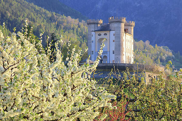 Impressive Wall Art featuring the digital art Aymavilles Castle In Italy by Davide Carlo Cenadelli