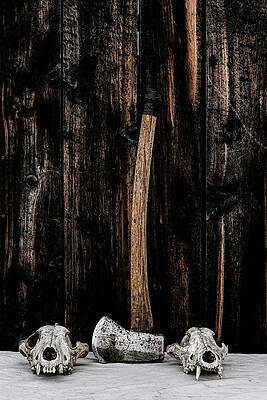 Photograph - Backcountry by Fred Denner