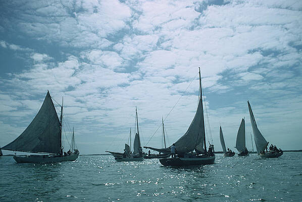 Sailboats on a Calm Sea Wall Art