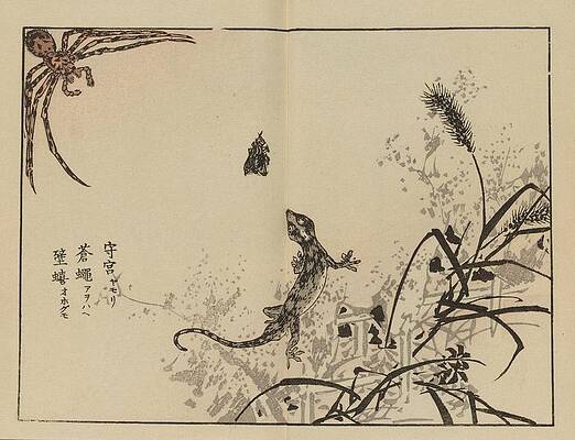 Insects Painting - Bairei Gafu, Pl.69 by Kono Bairei