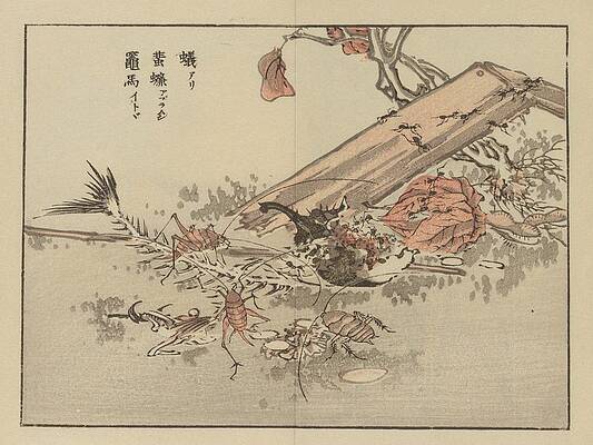 Insects Painting - Bairei Gafu, Pl.73 by Kono Bairei