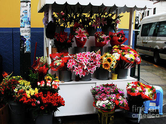Wall Art featuring the photograph Baranco Bouquets by Rick Locke - Out of the Corner of My Eye