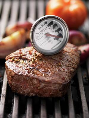 Barbecued Beef Steak With Meat Thermometer, On The Barbecue Print