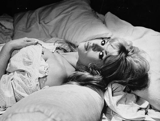 Brigitte Bardot Photos for Sale - Photos.com