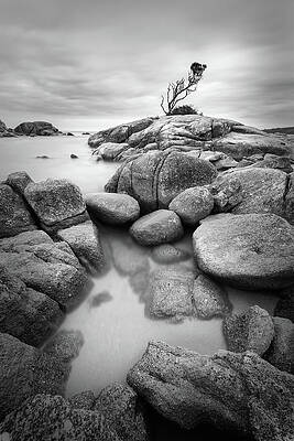 Wall Art featuring the photograph Bay Of Fires by Monamifoto