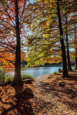 Autumn Wall Art featuring the digital art Bailey Arboretum, Locust Valley, NY by Lumiere