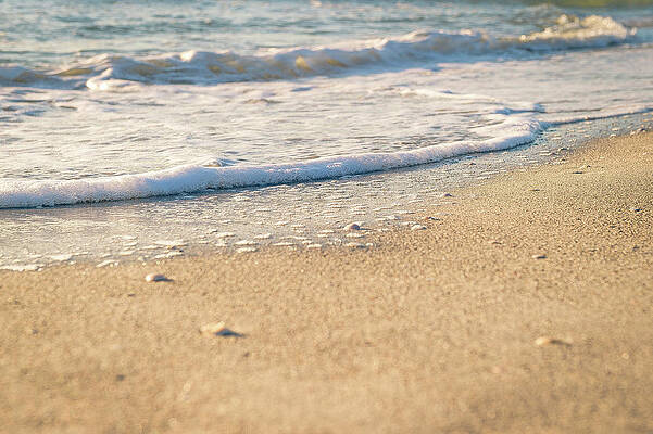 Wall Art featuring the photograph Beach Shorline by Joe Leone