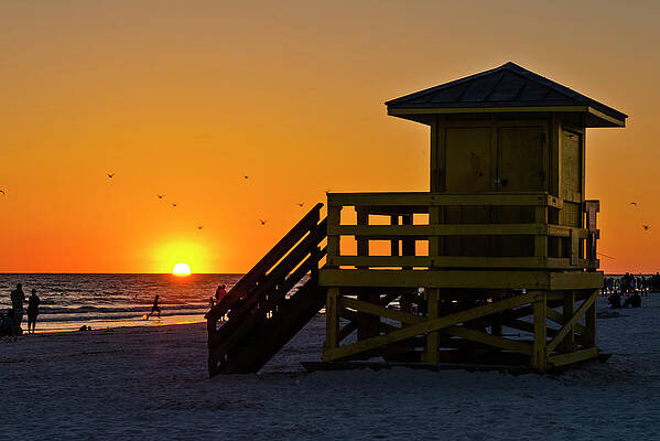 North America Wall Art featuring the digital art Beach With Lifeguard Station by Carlo Irek