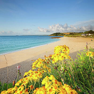 Yellow Wall Art featuring the digital art Beach With Yellow Flowers by Pietro Canali