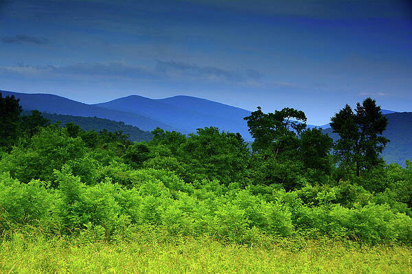 Beahms Gap On Shenandoah National Park's Appalachian Trail Print