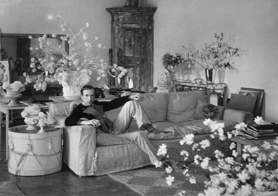Wall Art featuring the photograph Beaton At Home by Sasha