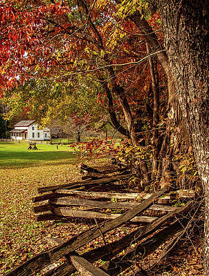 Cade Cove Photograph - Becky Cable Fall Vertical View by Marcy Wielfaert