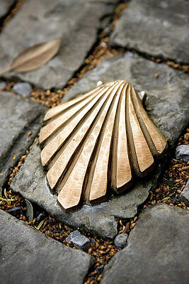 Be Wall Art featuring the digital art Belgium, Wallonia, Tournai, Benelux, Way Of St. James, Route Of Santiago De Compostela, Santiago De Compostela's Shell On The Ground by Massimo Ripani