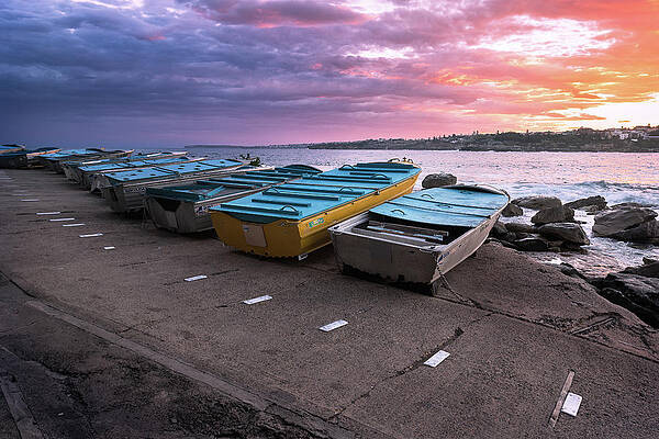 Sydney Wall Art featuring the photograph Ben Buckler Sunset Tinnies by Monamifoto