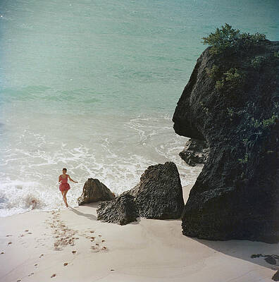 Serene Beachside Stroll Wall Art