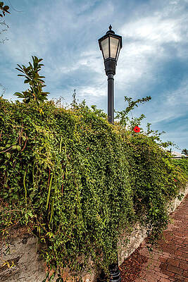 Lamp Wall Art featuring the digital art Bermuda, Saint George, Wall Covered In Vegetation And Street Lamp by Lumiere