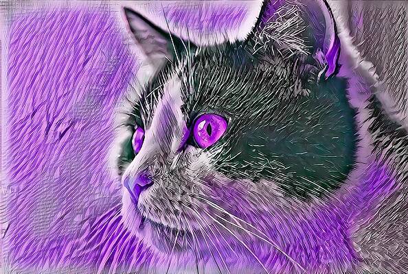 Happy Digital Art - Big Head Tuxedo Cat Purple Eyes by Don Northup