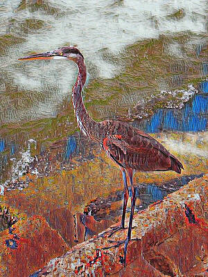 Florida Wall Art featuring the digital art Birds Of John's Pass by Antonios Valamontes