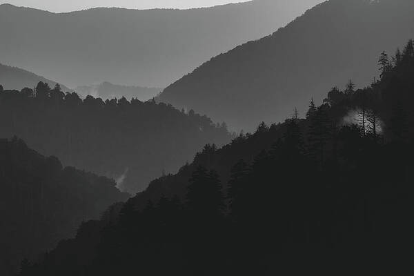 Tennessee Wall Art featuring the photograph Black And White Misty Mountains by Douglas Wielfaert