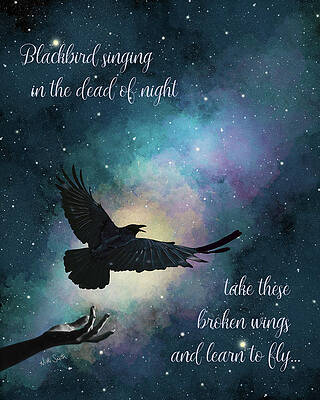 Blackbird at Night Digital Art