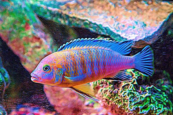 Wildlife Digital Art - Blue Zebra Limestone Expressionism by Don Northup