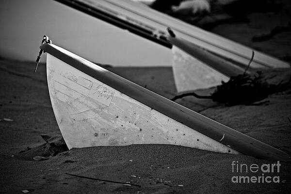 Wall Art featuring the photograph Boat Bows In The Sand by Debra Banks