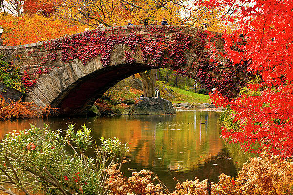 Autumn Wall Art featuring the digital art Bridge & Pond, Central Park, Nyc by Claudia Uripos