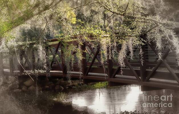 Fl Wall Art featuring the photograph Bridge Over Troubled Waters by Mary Lou Chmura