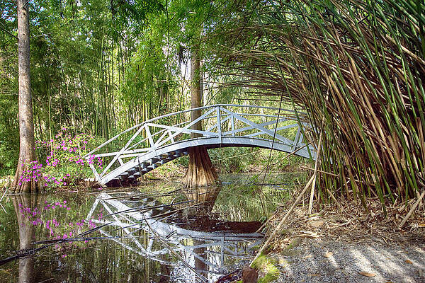 Wall Art featuring the photograph Bridge Reflection by Crystal Wightman