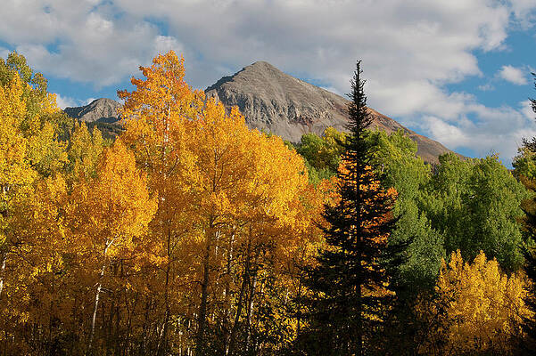 Sky Wall Art featuring the photograph Brilliant Autumn Aspen In The San Miguels by Cascade Colors