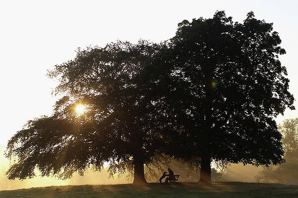 Wall Art featuring the photograph Britain Enjoys Late Summer Heatwave by Dan Kitwood