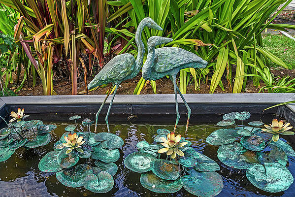 Travel Digital Art - Bronze Water Sculptures Of Birds by Laura Zeid