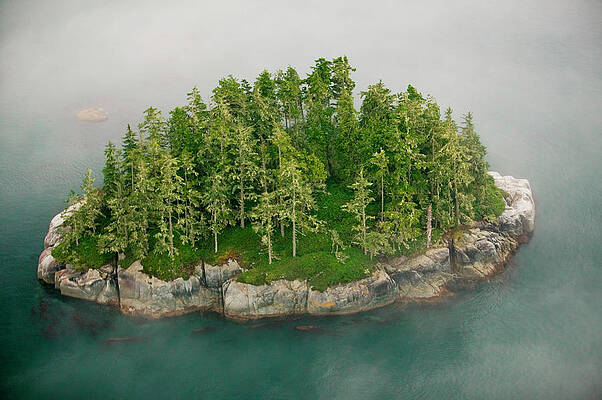 Misty Small Island with Dense Forest Wall Art