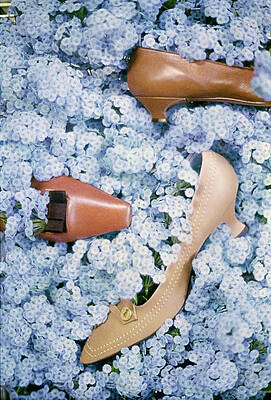 Shoes Amidst Blue Flowers Photograph