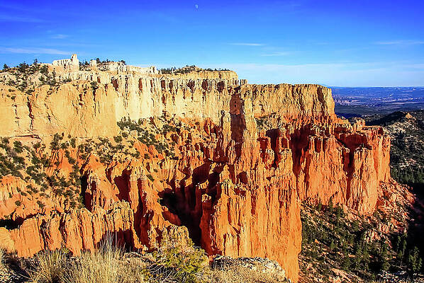Utah Wall Art featuring the photograph Bryce Canyon Hoodoos by Dawn Richards