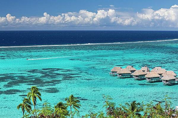 Paradise Wall Art featuring the digital art Bungalows On The Island Of Moorea by Reinhard Schmid