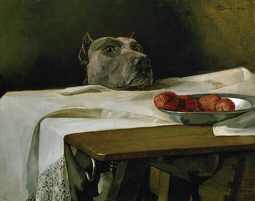 Dog's Gaze Over Apples Painting