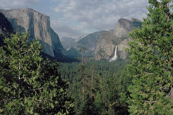 Wall Art featuring the photograph California, United States - by Francois Le Diascorn