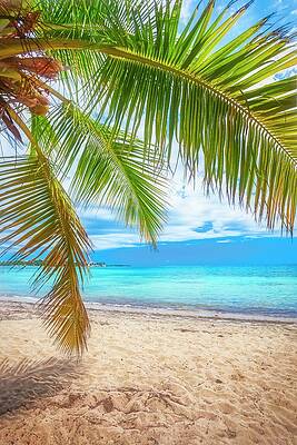 Yellow Wall Art featuring the digital art Cana Gorda Beach, Puerto Rico by Lumiere