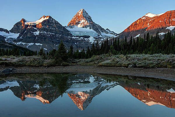 British Wall Art featuring the digital art Canada, British Columbia, Sunrise At Mount Assiniboine, Matterhorn by Bernd Grundmann