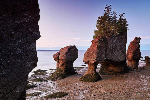 Paradise Wall Art featuring the digital art Canada, New Brunswick, Bay Of Fundy, The Hopewell Rocks At Sunset by Richard Taylor