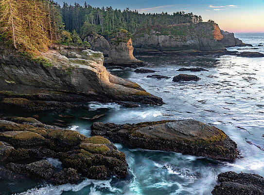 Photograph - Cape Flattery by Ed Clark